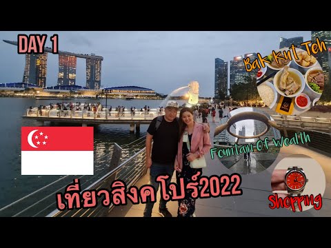 เที่ยวสิงคโปร์ 2022 รีวิวสถานที่และพาShopping + ท่องเที่ยว + อาหาร + ที่พัก Day 1